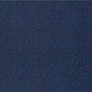 Moda Robin Pickens Thatched 1117494 NAVY backing