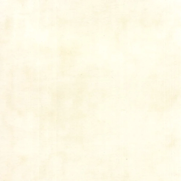 Moda Primitive Muslin Flannel Cream White Daisy F1040 21