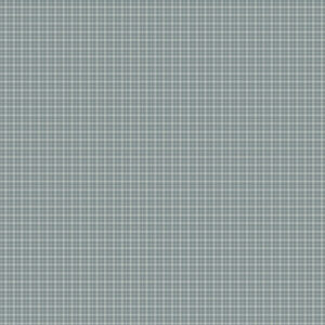 Windham Fabrics L'atelier Perdu Petite Jeanne 53948-2 Sweet Plaid Denim 2512-446